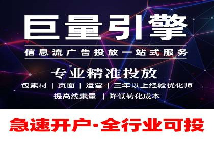 大型SEM服务公司案例分析